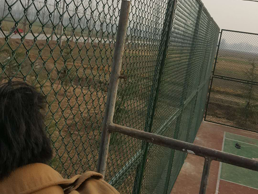 球場護欄